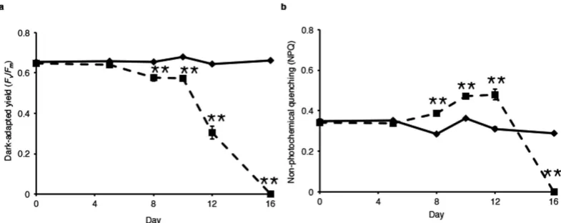 Figure 3. (a) Symbiodinium Fv/Fm within A. aspera during the experiment. (b) Symbiodinium NPQ within A
