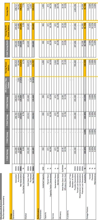 Figure 2.1: Monthly Report is a Snapshot of the Data Produced to Track Unit Performance