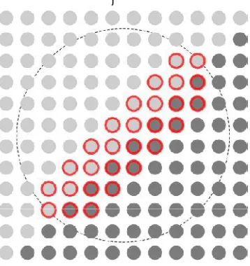 Figure 7: Circular Window for iNEDI 