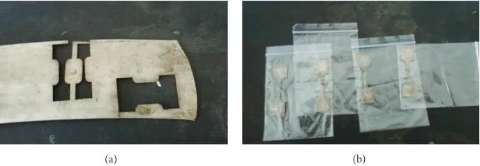 Figure 2: The tensile test specimens in AM50 Mg alloy plate. (a) Position of AM50 Mg alloy specimens, (b) specimens of the RD and the TD.