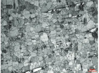 Figure 7: Initial microstructure before tensile test.