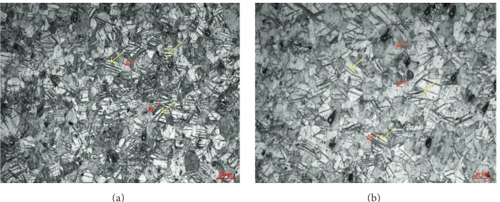 Figure 8: Microstructure in the maximum strain position: (a) RD; (b) TD.