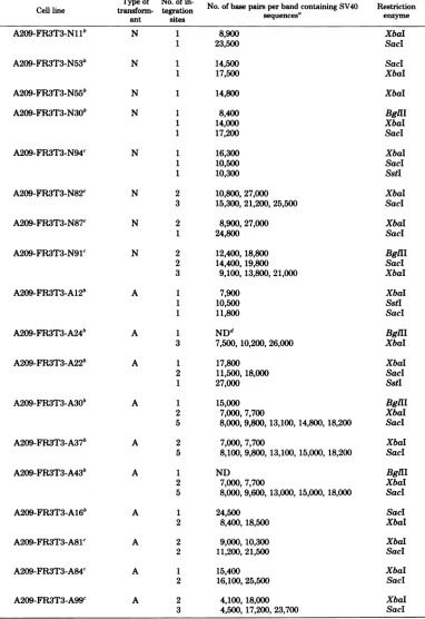 TABLE 4. Number ofSV40 genome integration sites in transformed 3T3 rat cells