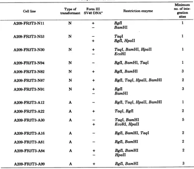 TABLE 5. Presence of single copies or tandem repeats ofSV40 sequences integrated in the cell genome oftransformed rat cells