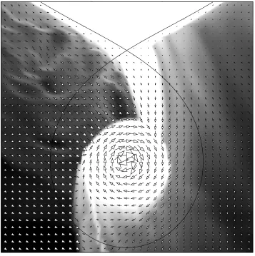 Figure 3.10: The velocity ﬁeld of the circumstellar gas in the equatorial plane of the binary system.