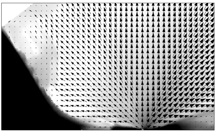Figure 3.11: The bipolar disk wind emanating from the inner region of the accretion disk is evident