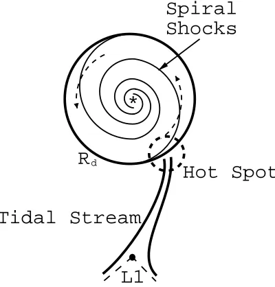 Figure 1.7: The accretion disk’s outer radius rD is greater than the circularization radius,due to the outward ﬂux of mass and angular momentum
