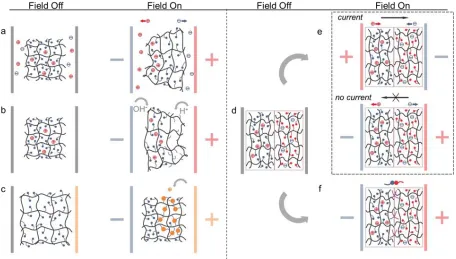 Figure 1.2.   Electric field driven ion effects. (a) Electro-Osmotic Effect (b) Electrolysis Effect (c) Ionic Binding (d) Ionic Conductivity within Hydrogels (e) Ionic Devices (f) Polyelectrolyte Hydrogel Adhesion  