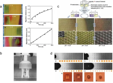Figure 1.5.  Principles and applications of electrolysis driven shape change (a) Evolution of pH changes within a hydrolyzed pAAm gel containing carboxylic groups in a 0.1 M KCl solution with universal pH indicator