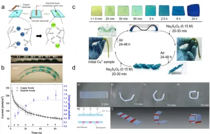 Figure 1.6.  Principles and applications of ion binding to hydrogels (a) By applying a potential to a patterned Cu anode, Cu2+ ions complex locally with anionic hydrogels.79 (b) Above: Side view of an ionoprinted pNaAc gel at various time steps (5 V)