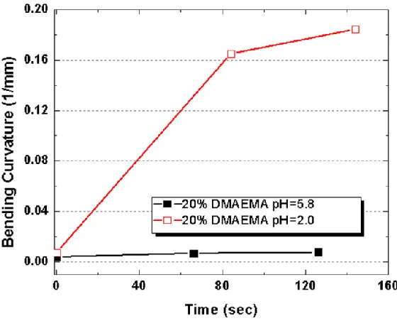 Figure 2.3. Bending curvature of a 20% DMAEMA hydrogel as a function of time. Bending is observed in acid medium since fixed charges are only present upon protonation of the tertiary amine groups