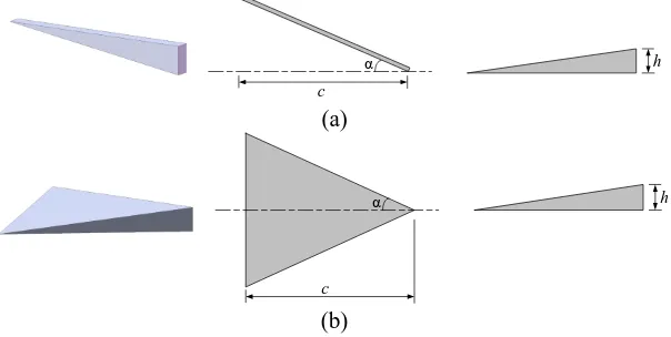 Figure 5 Micro vane (a) and micro ramp (b).   