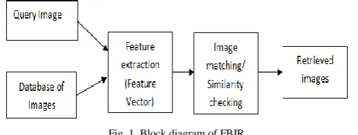 Fig. 1  Block diagram of FBIR 