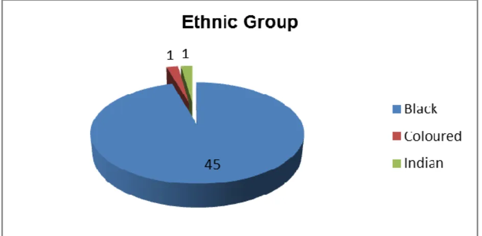 Figure 4.3  Sample of Segmentation by Ethnic Group 