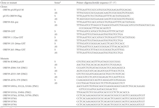 TABLE 1 Sequences of primers used in this study