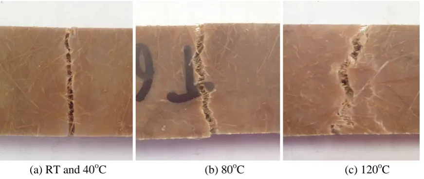Figure 13. Failure of bamboo composites in tension at elevated temperature 