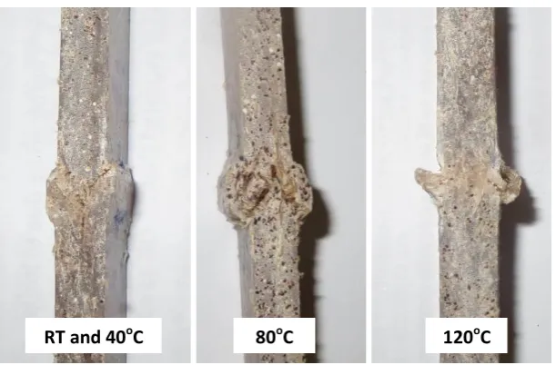 Figure 15. Failure of bamboo composites in compression at elevated temperature 
