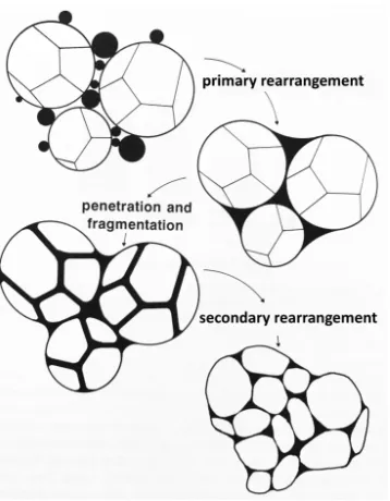 Figure 1.4 Rearrangement and fragmentation of particles in liquid phase sintering.5