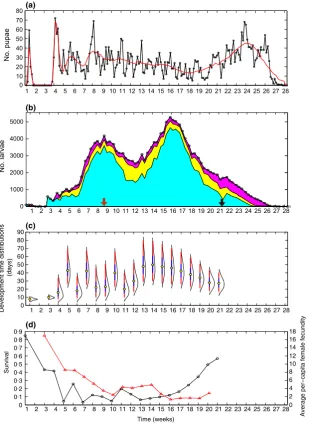 Fig. 1. (a) The observed (black lines andmarkers) and model-predicted (red line)number of pupae that eclose on each day;(b) the observed abundance of larvae overtime