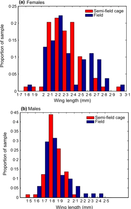 Fig. 4. Comparison of the wing length distributions of (a) femaleand (b) male adults from our semi-ﬁeld cage population (redbars) and wild populations (blue bars)