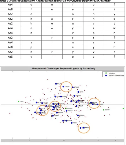 Table 3-3: Hit sequences from Anchor screen against 33-mer peptide fragment (16hr screen): 