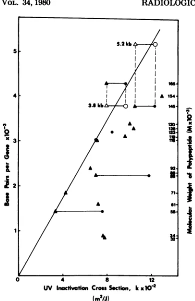FIG. 5.proteinsDNA,experiments;ofcrosstionimidesizesingblesDNA. Plot of gene size versus UV inactivation section