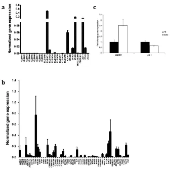 Fig. 2.3. Expression of Tight Junction Proteins in human outflow tissue. 