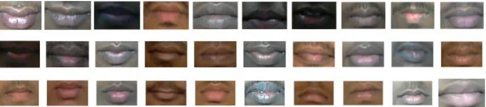 Fig. 1. Automatically Localized Extracted Mouth Region of Thirty Persons During Neutral Face 
