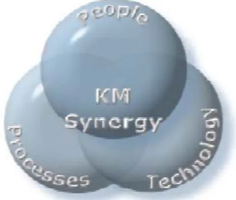Figure 1- KM Three Major Components    2.3 People 
