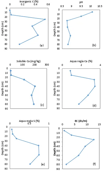 Figure ‎3.8: Vertical variations in (a) inorganic C, (b) pH, (c) soluble Ca, (d) aqua regia Ca, (e) aqua regia S and (f) EC along soil profile F7 