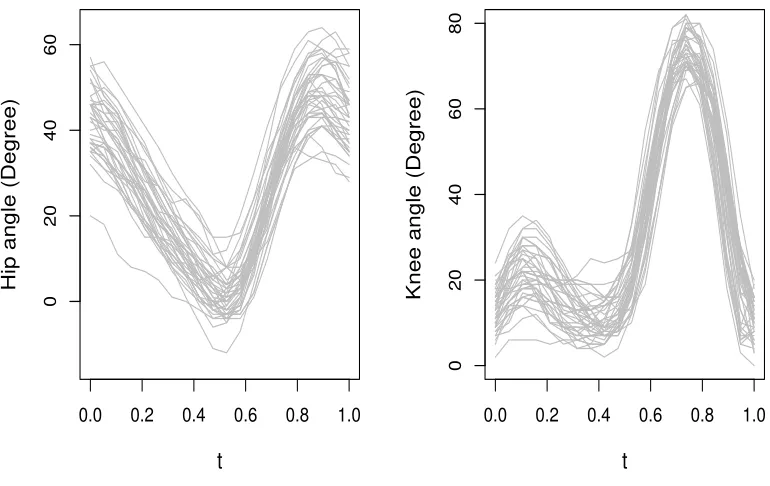 Figure 2.5 Measurement of hip angles and knee angles in the gait study.