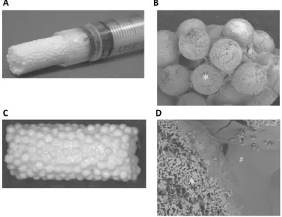 Fig. 7. Photograph of injectable 3D-formed composite ofMatsuno et al.of the composite (B)