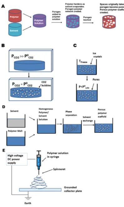 Fig. 2. Common scaffold fabrication techniques. (A) Solvent casting-particle leaching process (B) Gas foaming (C) Freeze-drying (D) Phase separation (E) Electrospinning