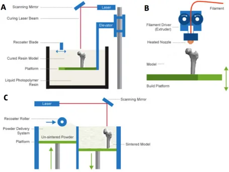 Fig. 3. Common 3D Printing Techniques. (A) Stereolithography (B) Fused deposition modelling (C) Selective laser sintering