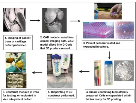 Fig. 4. Summary of bioprinting process.
