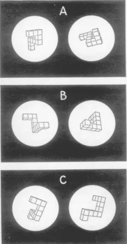 Figure 2.  Are  the  two  objects  the  same  or  different?  Example  stimuli  used  in  experiments  by  Shepard &amp; Metzler (1971) demonstrating the importance of mental imagery in human cognition