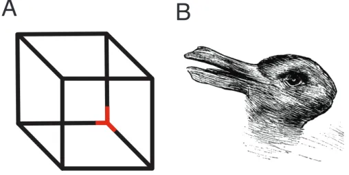 Figure 3.  Front or back; duck or rabbit? Examples of the Necker cube (A) and duck/rabbit (B)  ambiguous image illusions