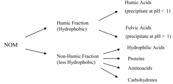 Figure 2-1  Constituents of Natural Organic Matter (Garcia 2005) 