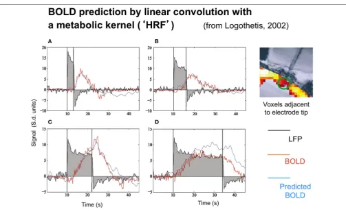 FIGURE 2 | Time course of the local ﬁeld potentials (black trace), BOLD (red blue trace), and predicted BOLD (red trace) to a continuous dynamicstimuli (black rectangle) of 3, 6, 12, and 24 s duration (A–D, respectively from Logothetis, 2003, with permissi