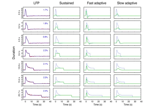 FIGURE 6 | Left column: Overall neural model ﬁts (blue curves) to the average LFP responses (red curves) at each of 7 durations