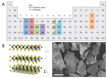Figure 2.2: Transi�on metal dichalcogenides. A) Table of TMD elements. Image from Ref