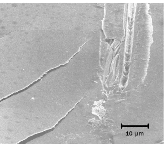 FIG. 6. SEM image of the top surface of an ion implanted LNO sample afteri m