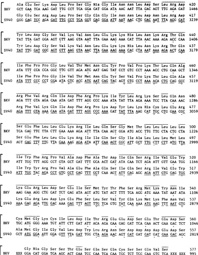 FIG. 4-Continued.426