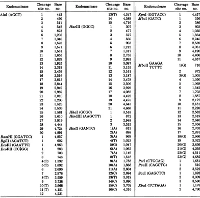 TABLE 1. Location of the cleavage sites of 17 restriction endonucleases on the BKV(MM) DNA'