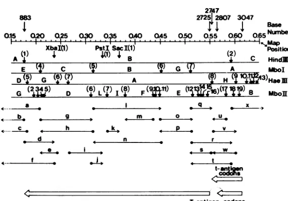 FIG.specific