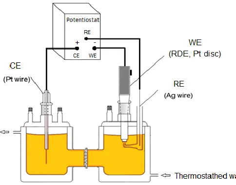 Figure 1. Schematic of the divided electrochemical glass cell used for linear polarisation and limiting current experiments