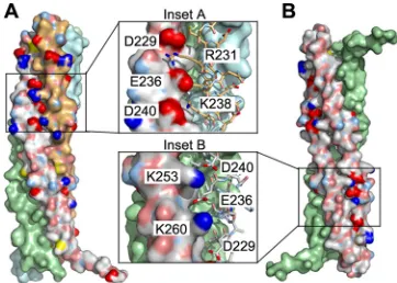 FIG 3 Structure of MuV P(C), VSV (D), and RABV (E) are shown for comparison. The range of residuesfor each POD