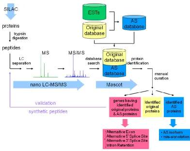 Figure 2.1. Integration of alternative splicing database in bottom-up proteomic analysis