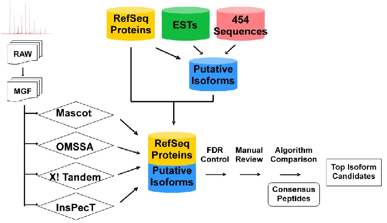 Figure 3.1. Overview of study design. 