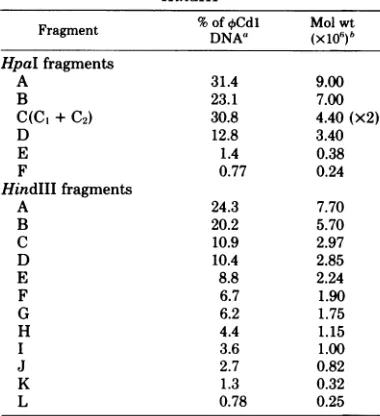 FIG. The HpaI to visualizeethidiumanalyzedamide-0.5%1%by ethidium agarose 16 HindIII h, 1.0 the smallest the autoradiograms were tn andfragments by were HindIII Pg (lanes (E slab agarose bromide electrophoresis, of fragments or and bromide analyzed 32P-lab